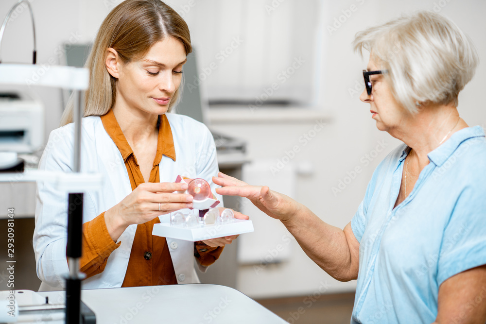 Female ophthalmologist showing the eye model to a senior patient during a medical consultation in th