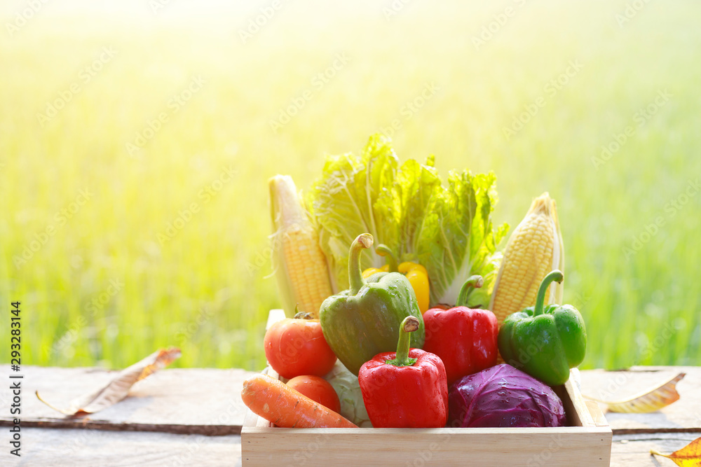 Organic vegetables in a wooden box against a background of rice fields,Sweet peppers, purple cabbage