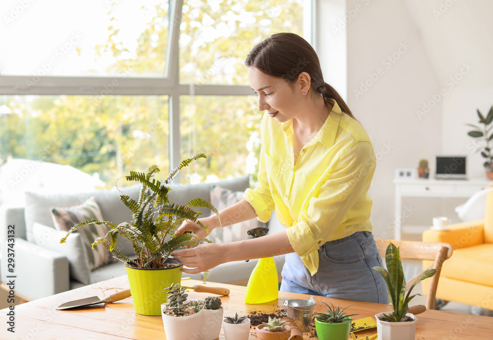 Young woman taking care for houseplants at home