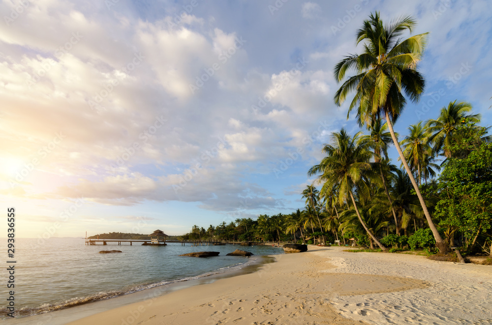 Tropical beach with sea wave and coconut palm trees and amazing cloudy sky on sunset at Phuket, Thai