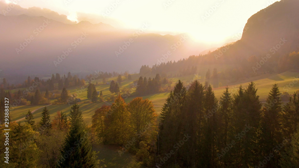 DRONE: Golden morning sunshine illuminates the spectacular autumn colored nature