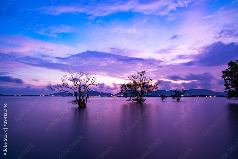 戏剧性的天空海景的长曝光图像，日落景色背景中有剪影树