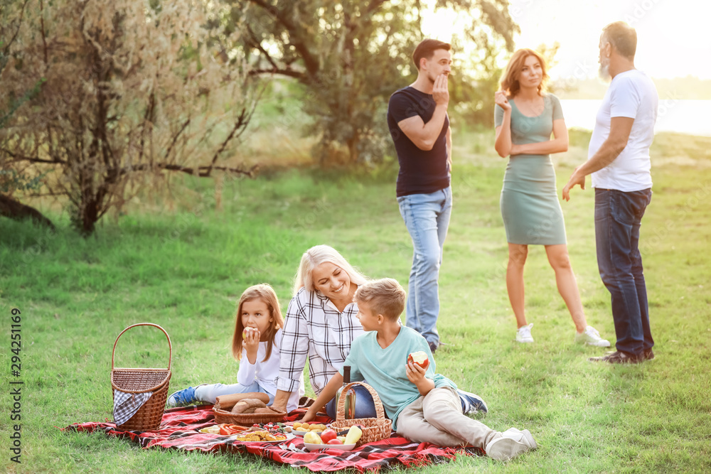 Big family having picnic in park