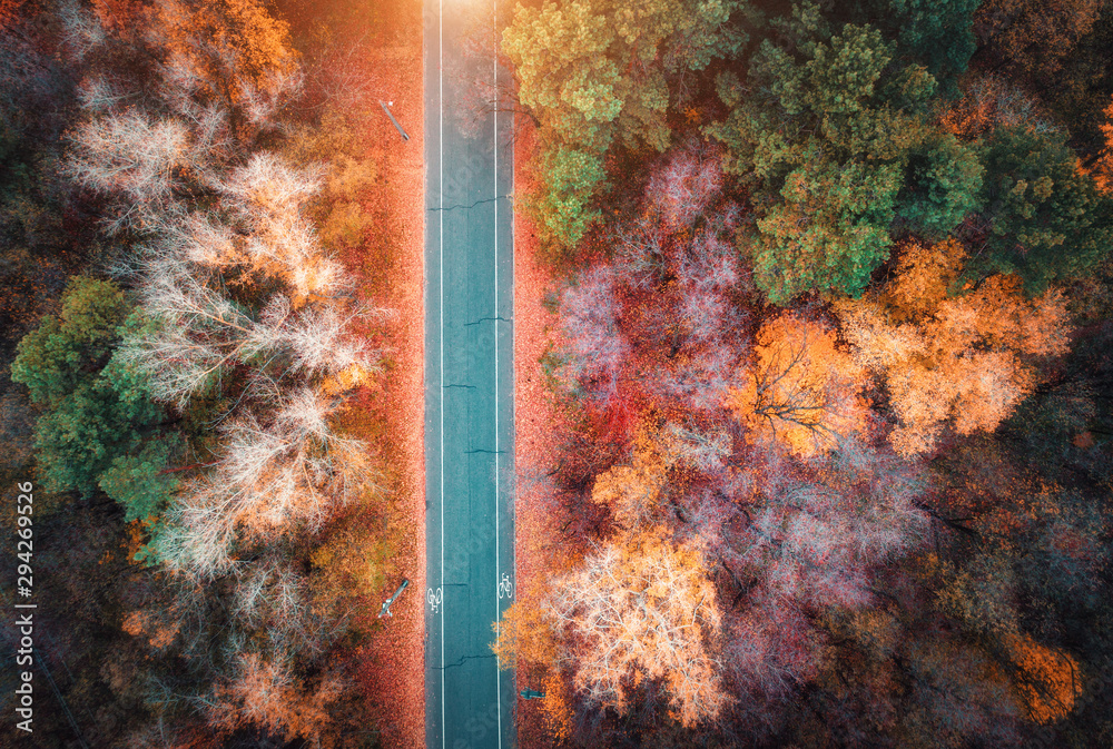 日落时美丽的秋林中的道路鸟瞰图。从远处看，五颜六色的风景和空旷的道路