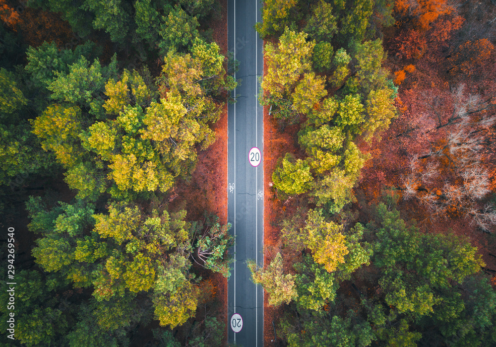 日落时分，美丽的秋林中的道路鸟瞰图。空旷的柏油路，色彩缤纷