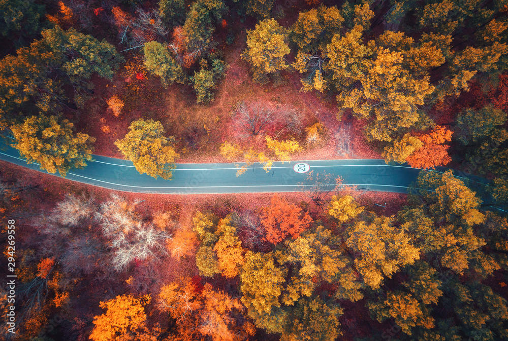 日落时分，美丽的秋林中的道路鸟瞰图。ab处的彩色景观和空旷的道路