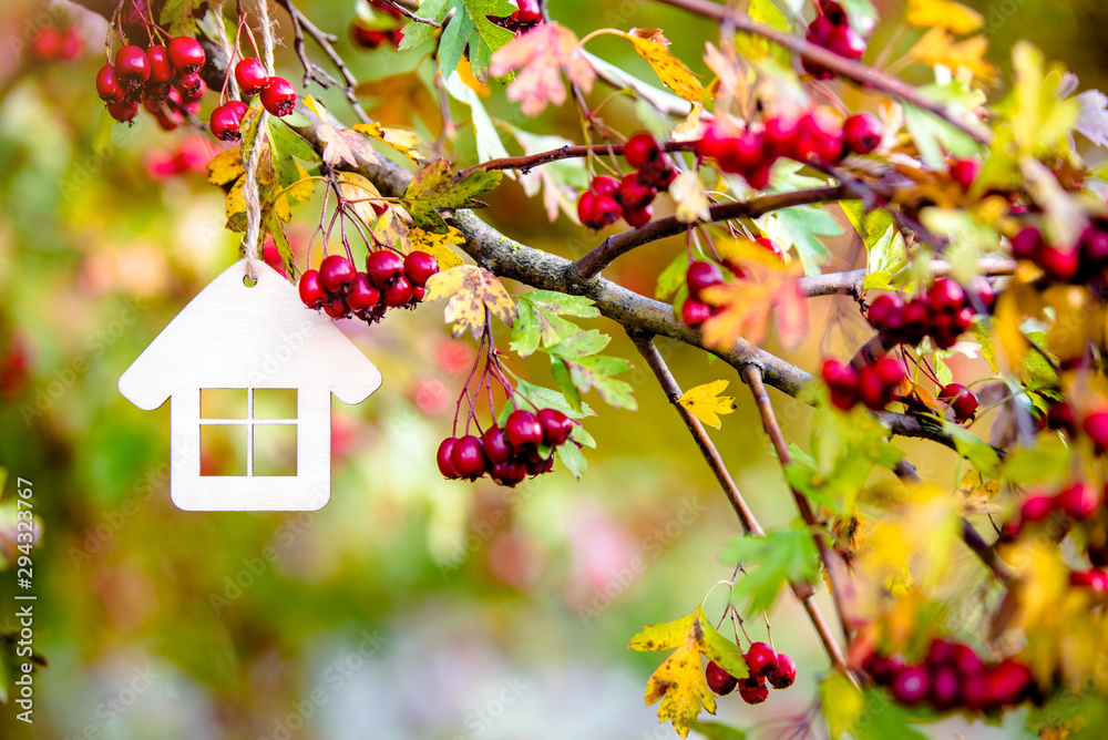 The symbol of the house among red hawthorn berries 