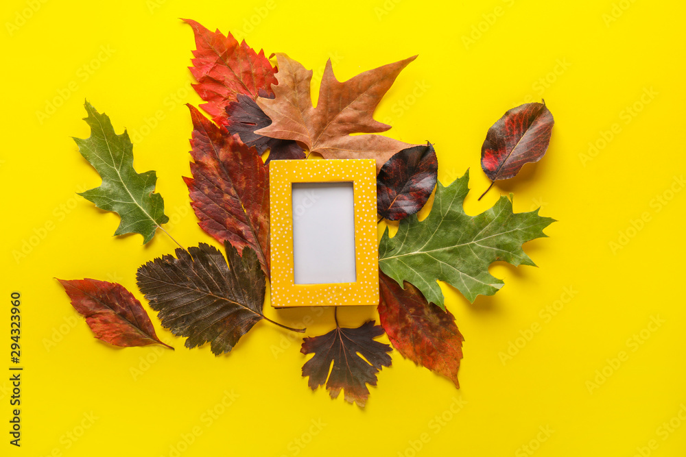 Frame and beautiful autumn leaves on color background