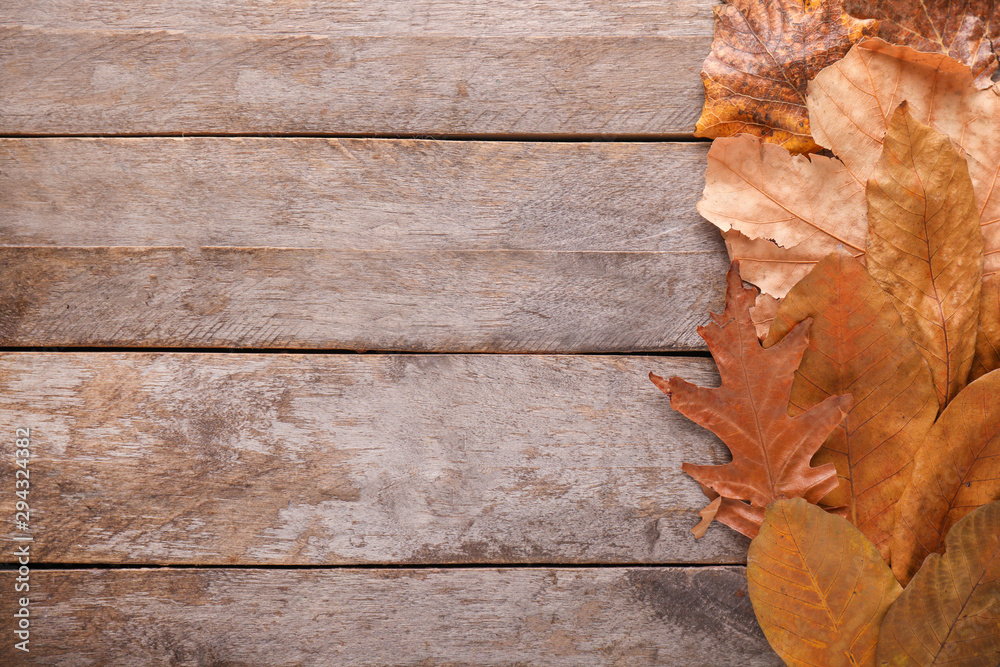 Different autumn leaves on wooden background