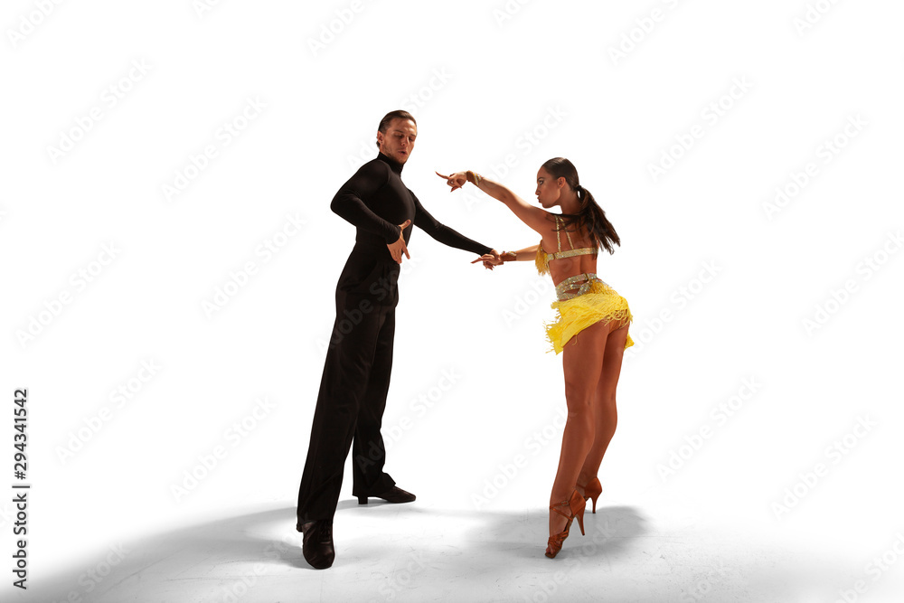 Ballroom dancing isolated on white.