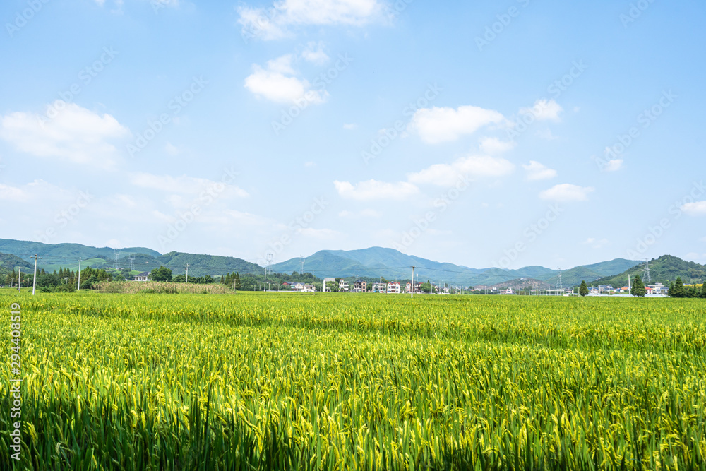 山里有农场的小村庄