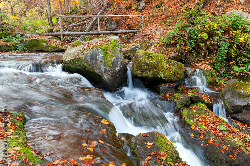 Mountain waterfall in autumn forest