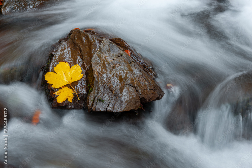 Yellow leaf on a stone in near of a waterfall