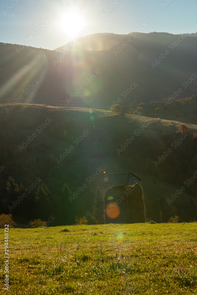 美丽的风景，神奇的秋树和落叶