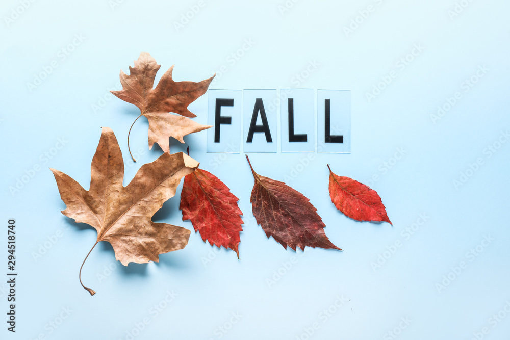 Beautiful autumn leaves and word FALL on color background