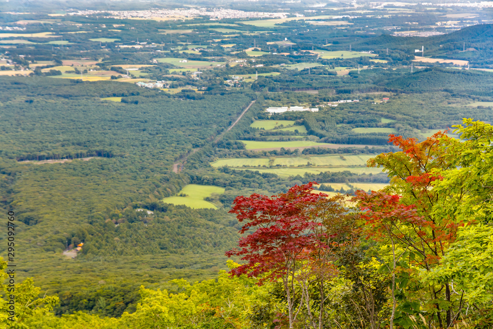 岩手山から見る景色　紅葉の楓