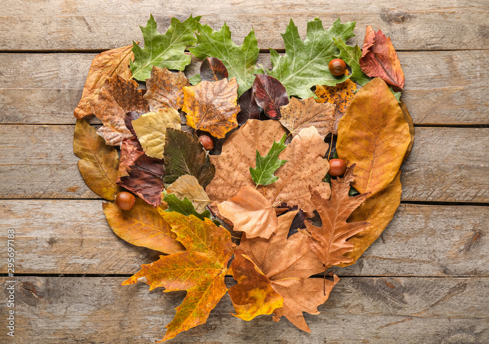 Different autumn leaves on wooden background