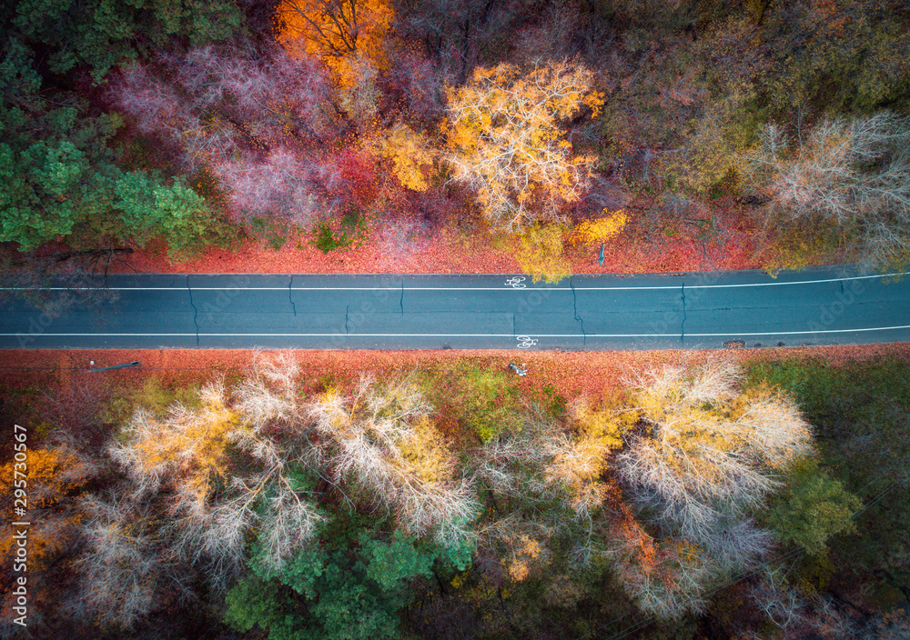 日落时美丽的秋林中的道路鸟瞰图。从远处看，五颜六色的风景和空旷的道路