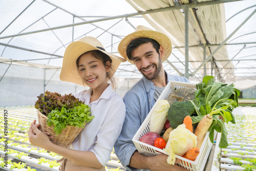 温室里的一对农民拿着一篮子蔬菜进行水培。他们正在收割蔬菜g