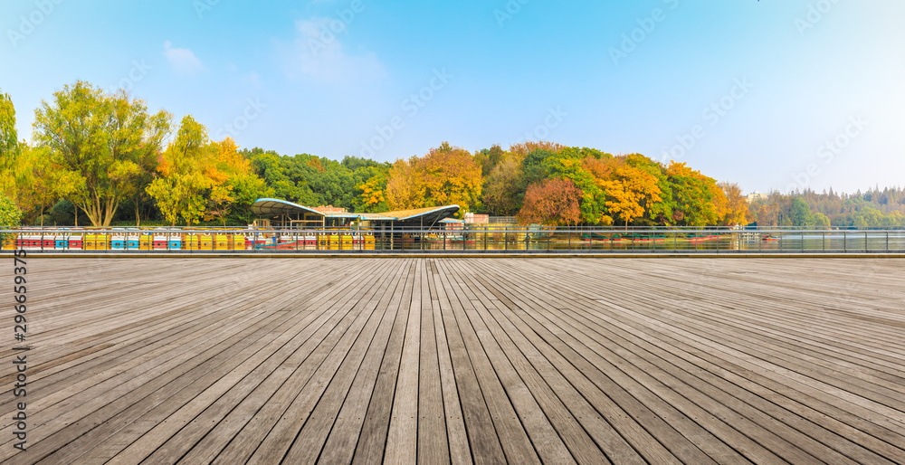 城市公园里空旷的木板广场和美丽的彩色森林