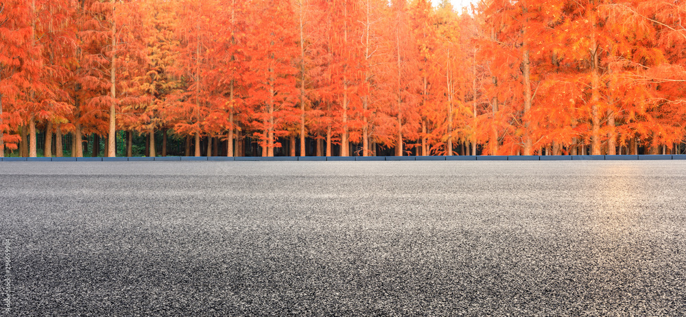 Empty asphalt road and beautiful colorful forest in autumn