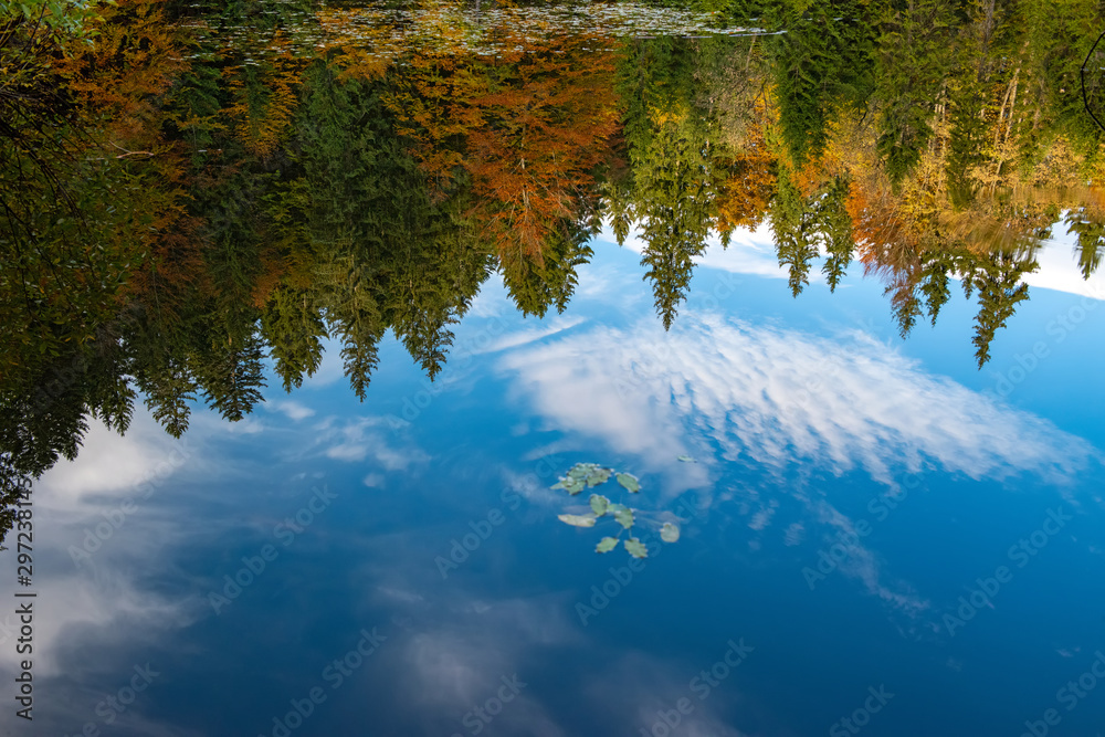 Reflection of the autumn forest in the mirror of the lake