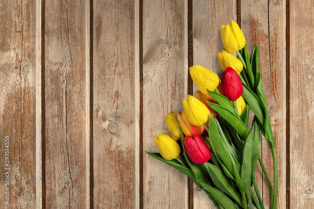 Different color tulips on background