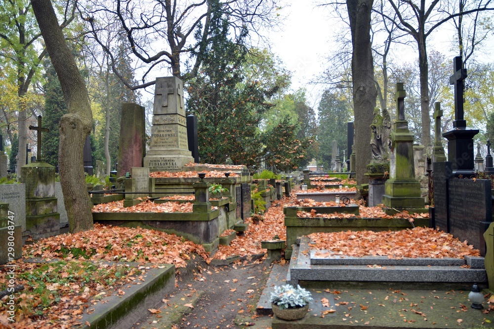 Tombstones and trees at the old cemetery.