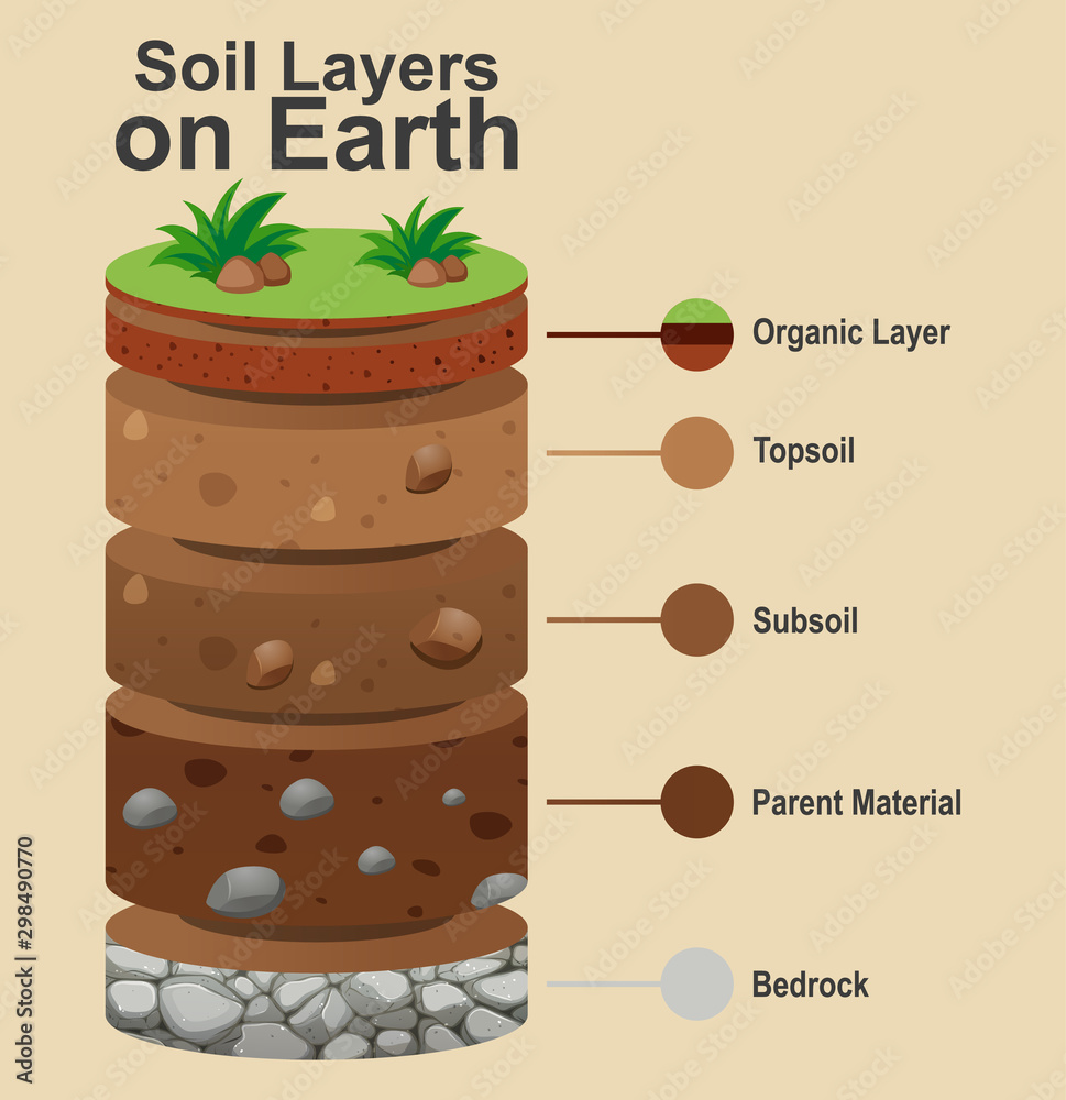 Layers of the Earth on white background