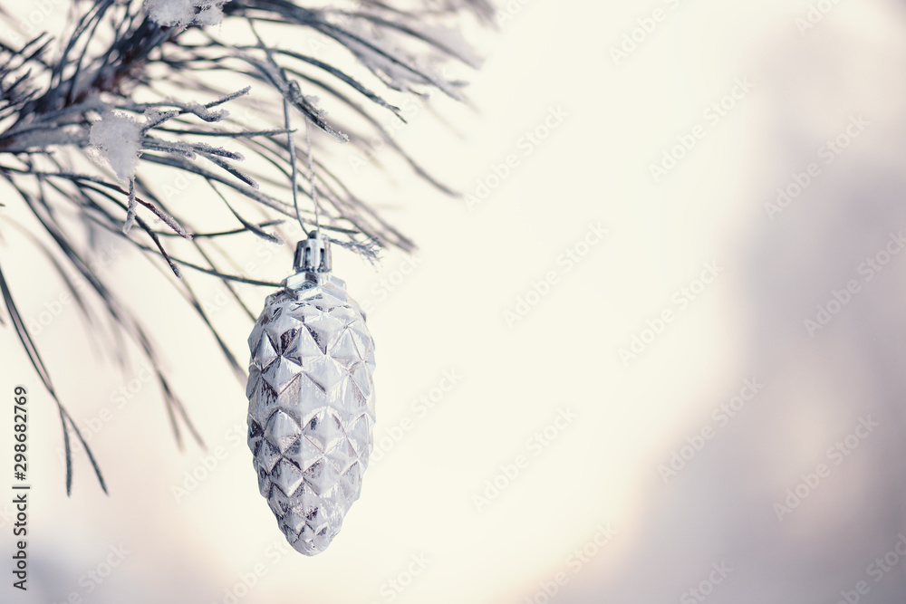 Snow-covered Christmas trees branches and shiny cones on the background of the forest. Branch Of Spr