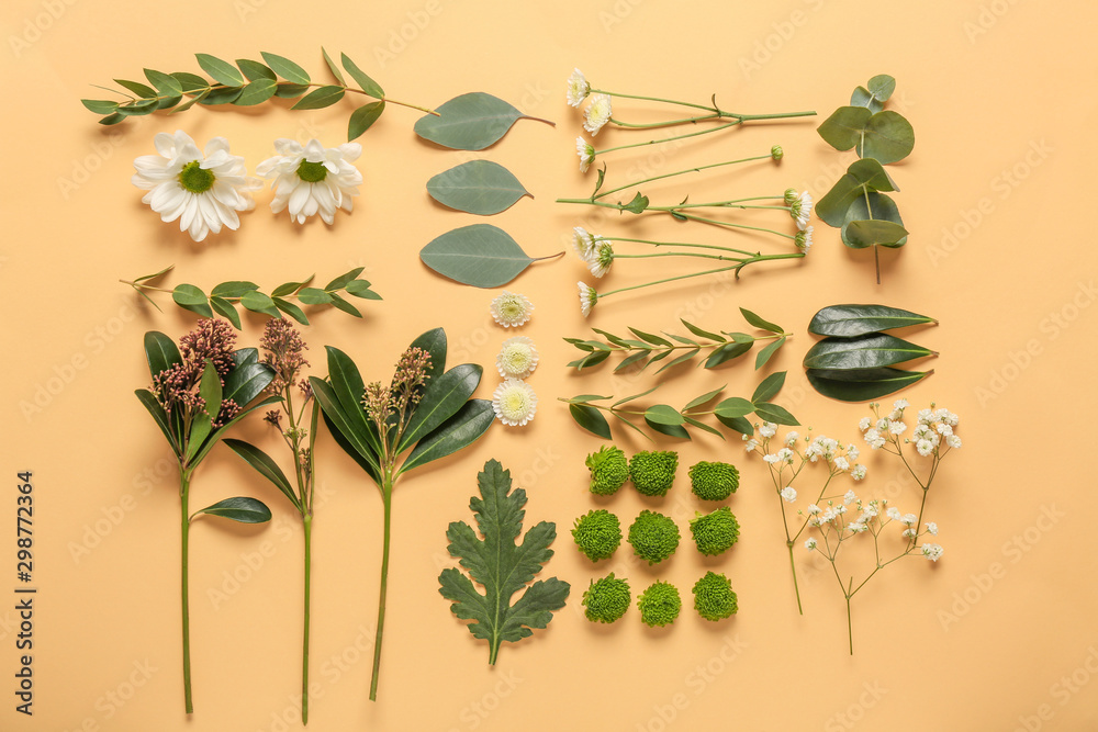 Composition with autumn flowers and leaves on color background