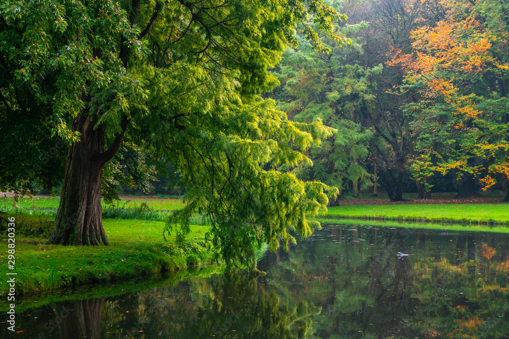 City park, trees reflection on the pond water, autumn. Rotterdam, Netherlands.