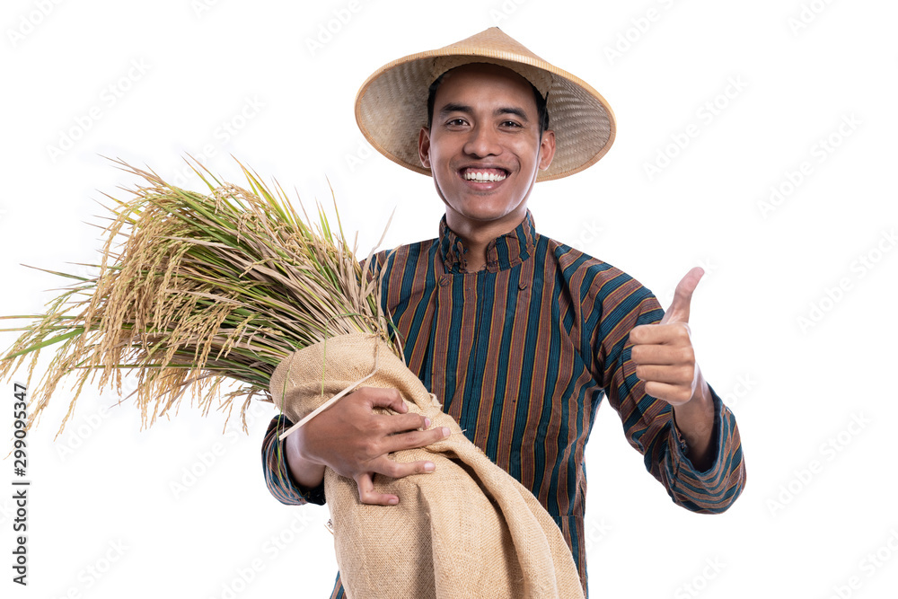 rice farmer showing thumb up isolated over white background