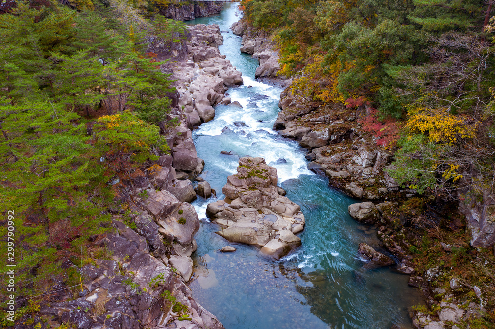 日本岩手县的根比县