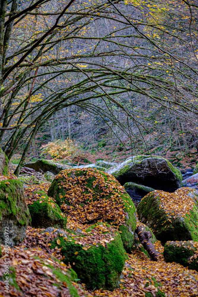 autumn in valley aisttal, near pregarten, austria