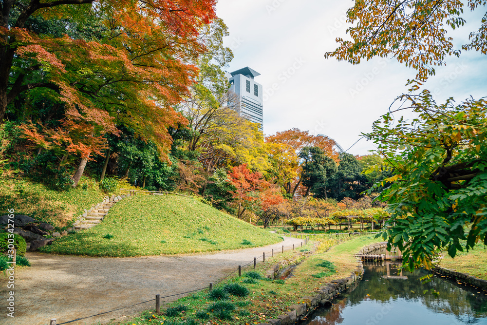 日本东京秋季的Koishikawa Korakuen花园