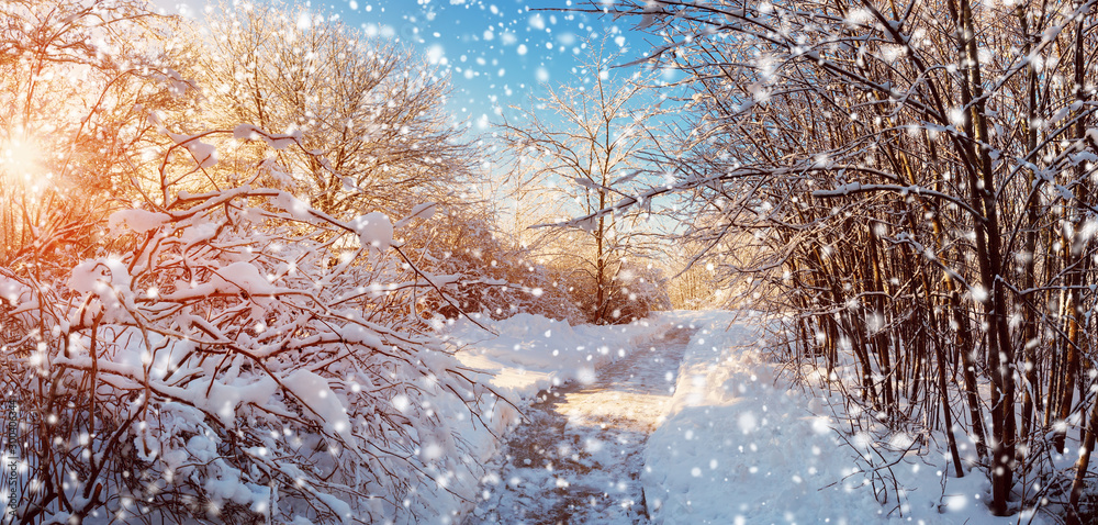 雪地里的乡间小路