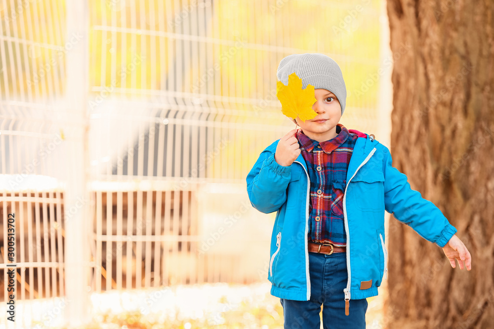 Cute little boy with leaf in park on autumn day