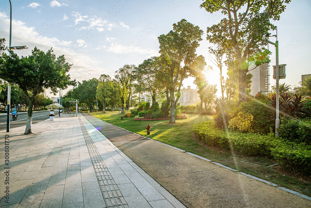 中国广州市南沙区城市街道环境景观