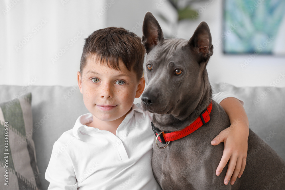 Little boy with cute dog at home