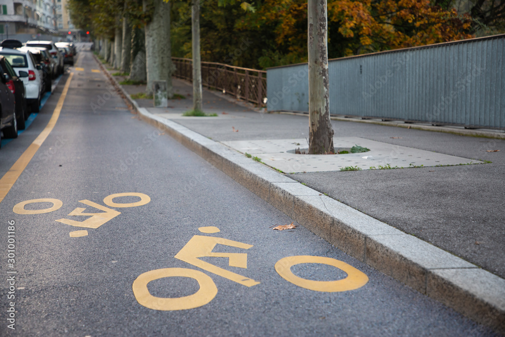 Bicycle sign on the road. Bike lane in the park.