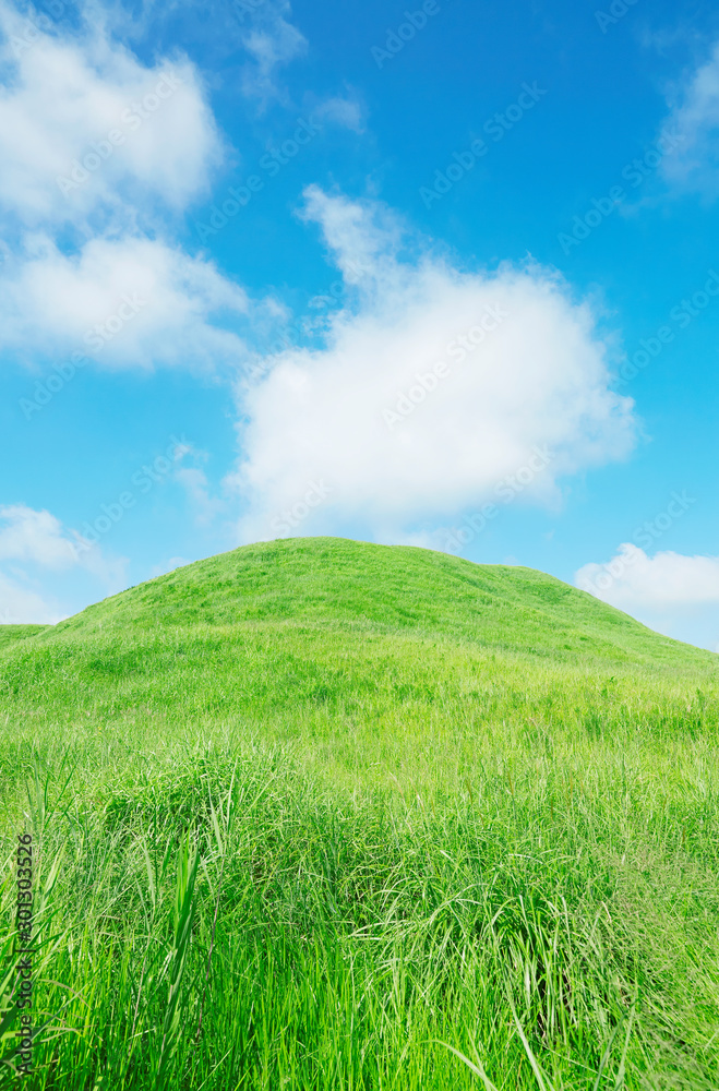 阿蘇の風景