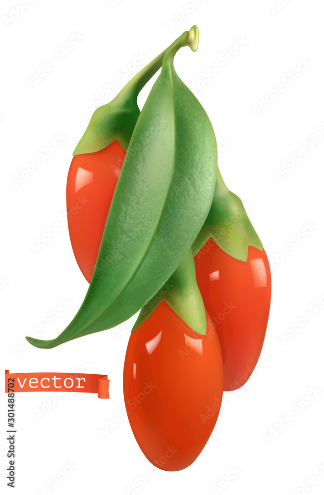 Goji berry. 3d realistic vector icon