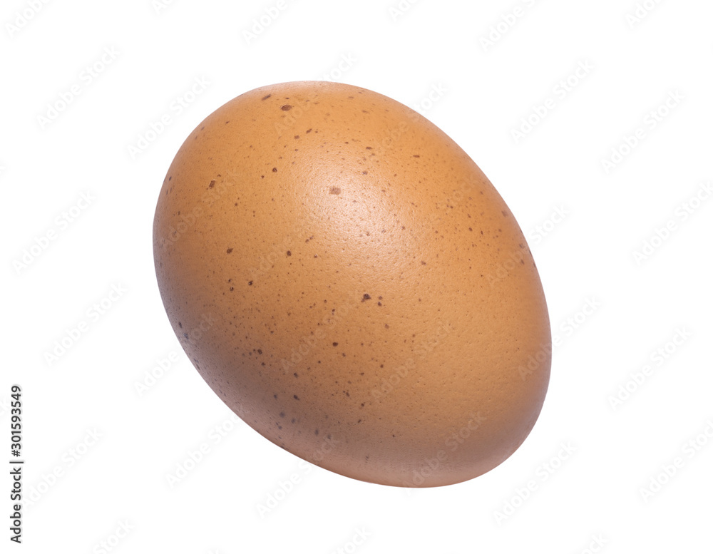 chicken egg isolated on white background isolate