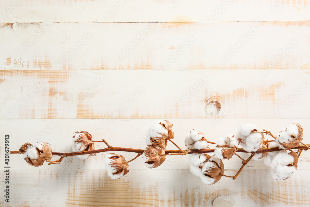 Beautiful cotton branch on white wooden background