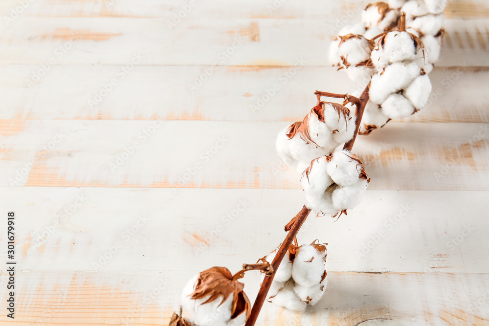 Beautiful cotton branch on white wooden background