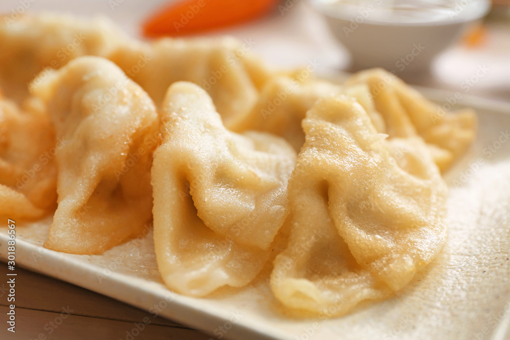 美味的日本饺子在盘子里，特写