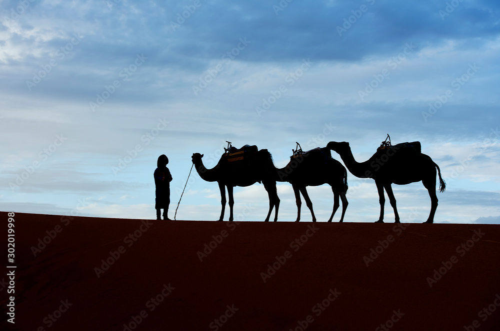 The beauty of the sand dunes in the Sahara Desert in Morocco. The Sahara Desert is the largest hot d