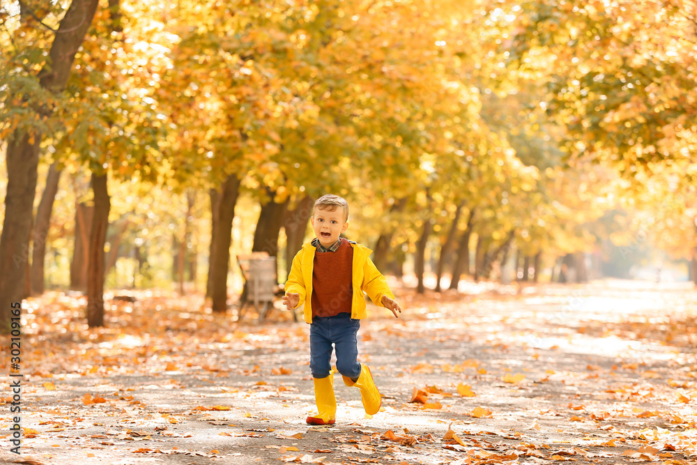 Cute little boy having fun in autumn park