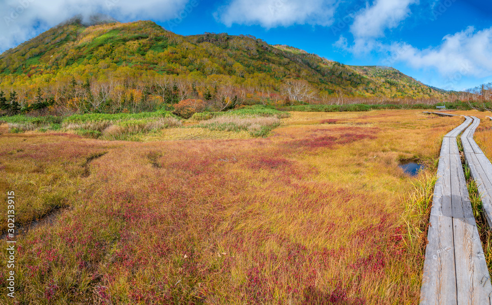 Tsugaike nature park at high mountain area in beautiful autumn season, Nagano, Japan.